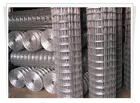 stainless steel welded wire mesh